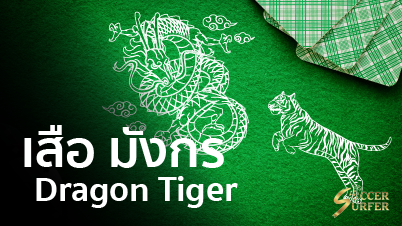 dragon tiger เสือ มังกร